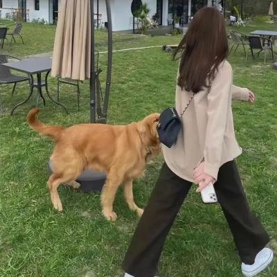 没有家的母亲